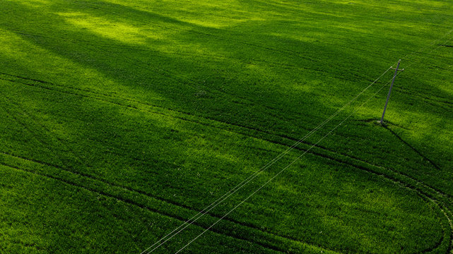 Green meadow with power transmission lines, top view