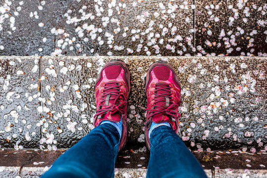 Looking Down Pov Point Of View On Legs Feet In Jeans With Sports Shoes In Spring With Many Sakura Cherry Blossom Flowers Petals On Wet Ground Stairs Steps In Rain