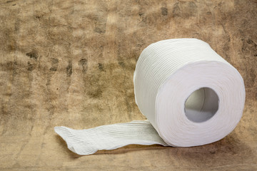 Roll of white toilet paper