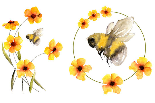 Bumblebee or honeybee upon flowers in summer, nice watercolor artwork isolated on white can be printed as textile pattern, card design, wedding invitation element or symbol of a honey production