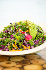 Food Photography