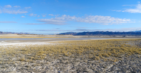 Tecopa Hot Springs area (looking north) in the Mojave desert in Southern California. The foreground shows surface soda salts mixed with soft mud and grasses. Tecopa is located south of Death Valley.