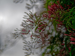 The colorful spring flowers contrast with the dark sky during the rain