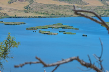 Summer days in the Mediterranean Sea