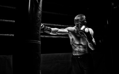 Kickboxer punches the bag. Training a professional athlete. The concept of mma, wrestling, muay...