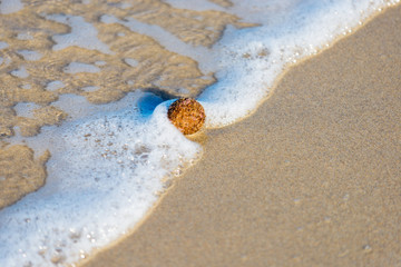 Summer days in the Mediterranean Sea