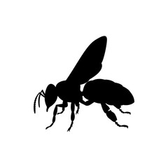 honey bee icon