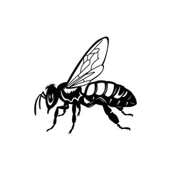 honey bee icon