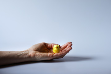 Fototapeta premium Hands holding yellow easter chicken.