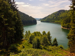 Blick auf den Stausee im Wald
