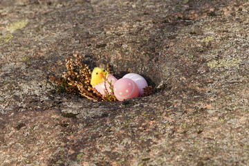 Easter egg and a yellow chicken outside.