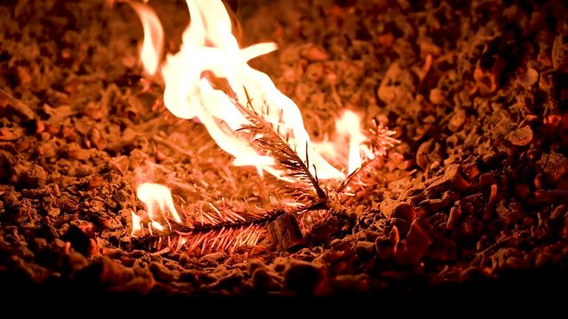 Gl&uuml;hende Holzkohle nach einem Lagerfeuer beim ausgl&uuml;hen 