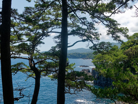 View of rocky cliffs with pine trees in Jogasaki coast in Izu, Japan. Columnar joints were formed by rapid cooling lava by the sea water. Oyodo Koyodo tide pools are seen.