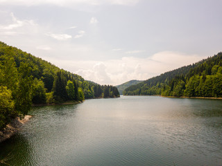 Stausee im Wald