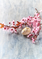 Easter Decoration. Rustic wooden background. Copy space.