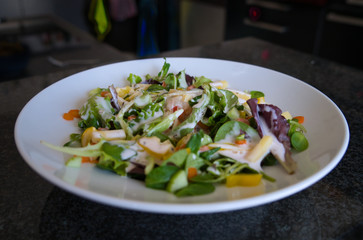 Gemischter Bio Salat Teller mit Hühnchenstreifen, Tomaten, Eier, Paprika, Feldsalast, Jogurth Dressing und Croutons, Produktbild