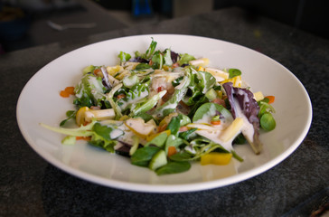Gemischter Bio Salat Teller mit Hühnchenstreifen, Tomaten, Eier, Paprika, Feldsalast, Jogurth Dressing und Croutons, Produktbild