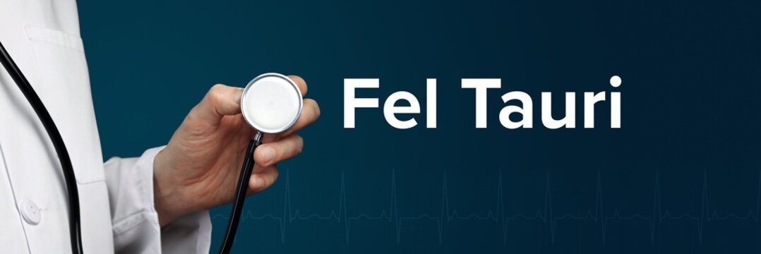 Fel Tauri. Arzt im Kittel h&auml;lt Stethoskop. Das Wort Fel Tauri steht daneben. Symbol f&uuml;r Medizin, Krankheit, Gesundheit