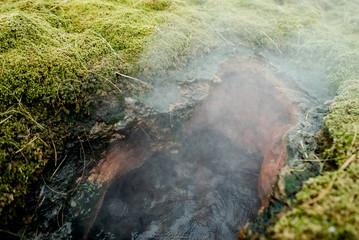 The colorful geyser landscape at the Haukadalur geothermal area, part of the golden circle route, in Iceland