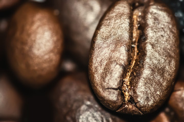 Close up of a coffee bean