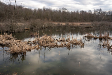 Image of a calm pond with reflections and cloudy sky during spring