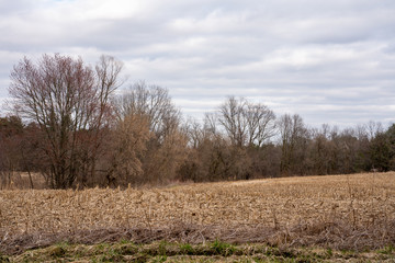 Fototapeta na wymiar Farmland with Trees in Early Spring with Cloudy Skies