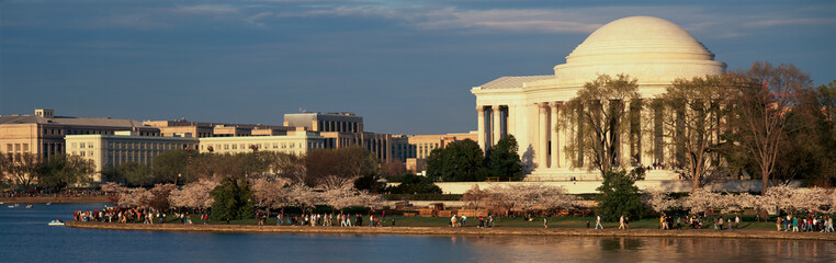 Panoramic view of Jefferson Memorial and Cherry Blossoms in Spring, Washington D.C.