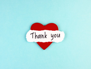 healthy red heart and the inscription Thank you on a blue background