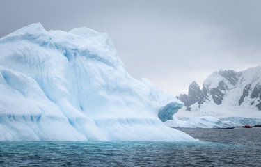 Cuverville Island, early morning