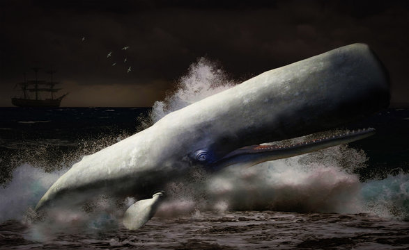 Moby Dick the white sperm whale