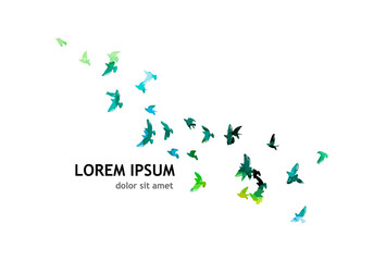 Multi-colored birds. A flock of flying rainbow birds. A lot of soaring birds. Mixed media. Vector illustration