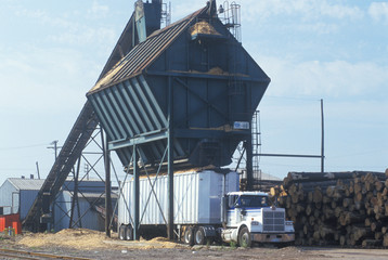 Sawdust and wood chips are loaded into a large truck at a paper mill
