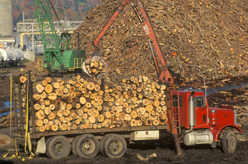 Cranes adding logs to the large pile of wood ready to be made into paper at the Boise Cascade Paper...