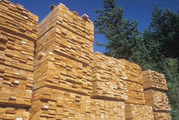 Cut lumber neatly stacked at a lumber yard in Willits, California