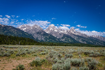 Fototapeta premium Grand Teton Mountain Range