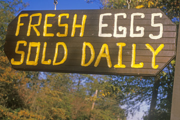 A sign that reads ÒFresh eggs sold dailyÓ