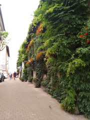street in the city