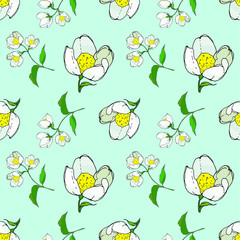 seamless background of painted twigs and Jasmine flowers, vector isolated images, doodles	