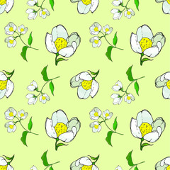 seamless background of painted twigs and Jasmine flowers, vector isolated images, doodles	