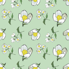seamless background of painted twigs and Jasmine flowers,  isolated images, doodles	