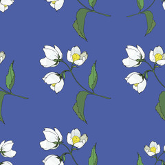 seamless background of painted twigs and Jasmine flowers,  isolated images, doodles	