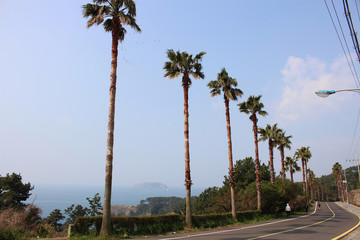 Fototapeta na wymiar Jeju Olle Trail Route 7 : Beautiful Scenery of Jeju Island, Korea