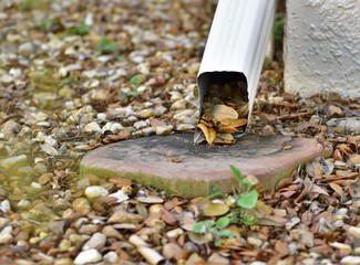 Gutter drain spout is clogged with leaflets from the oak tree creating a hazard