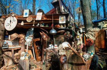 Collectibles and junk in a back yard, Highway 90, NY