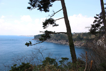 Jeju Olle Trail Route 7 : Beautiful Scenery of Jeju Island, Korea