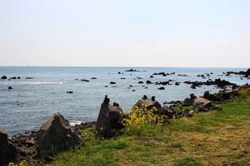 Jeju Olle Trail Route 7 : Beautiful Scenery of Jeju Island, Korea