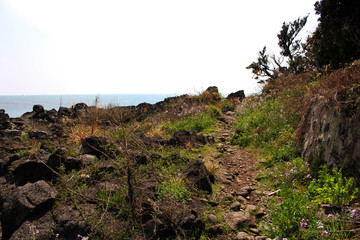 Jeju Olle Trail Route 7 : Beautiful Scenery of Jeju Island, Korea