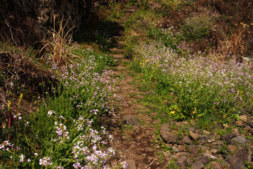Jeju Olle Trail Route 7 : Beautiful Scenery of Jeju Island, Korea
