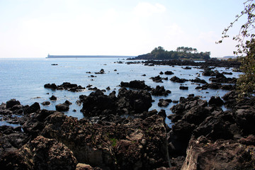 Jeju Olle Trail Route 7 : Beautiful Scenery of Jeju Island, Korea