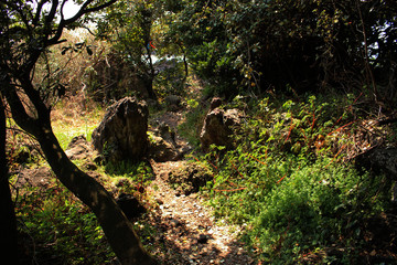 Jeju Olle Trail Route 7 : Beautiful Scenery of Jeju Island, Korea